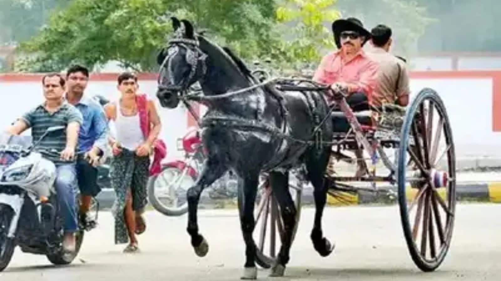 Bihar Chunav: 'छोटे सरकार' पर बड़ा संकट! कौन हैं JDU उम्मीदवार अनंत सिंह, जिनकी गिरफ्तारी ने बदल दिया मोकामा चुनाव का पूरा खेल