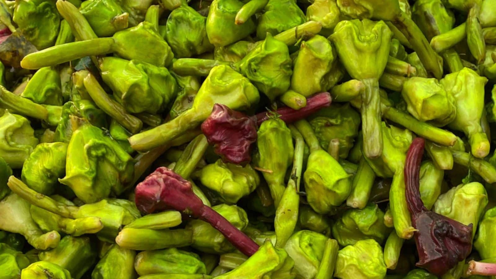 Chestnuts: आज से शुरू करें कच्चा सिंघाड़ा, वजन घटाने में मिलेगा चौंकाने वाला रिजल्ट