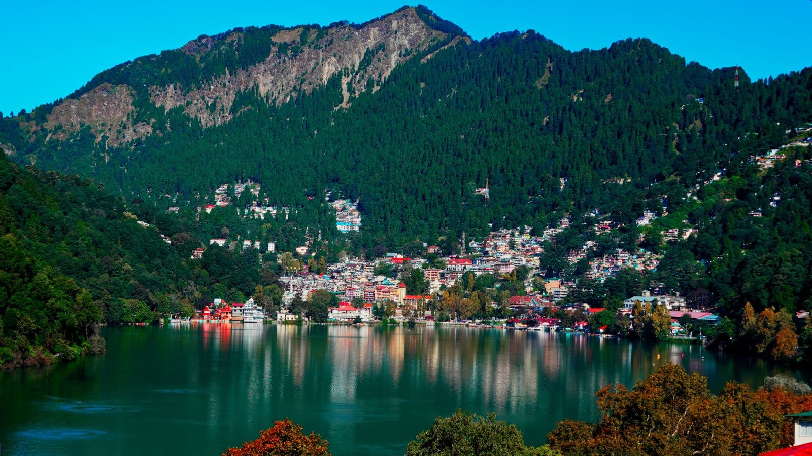 उत्तराखंड की ये जगहें बर्ड लवर्स के लिए है खास, यहां मिलते हैं 700 से भी ज्यादा दुर्लभ पक्षी! उत्तराखंड की ये जगहें बर्ड लवर्स के लिए है खास, यहां मिलते हैं 700 से भी ज्यादा दुर्लभ पक्षी!