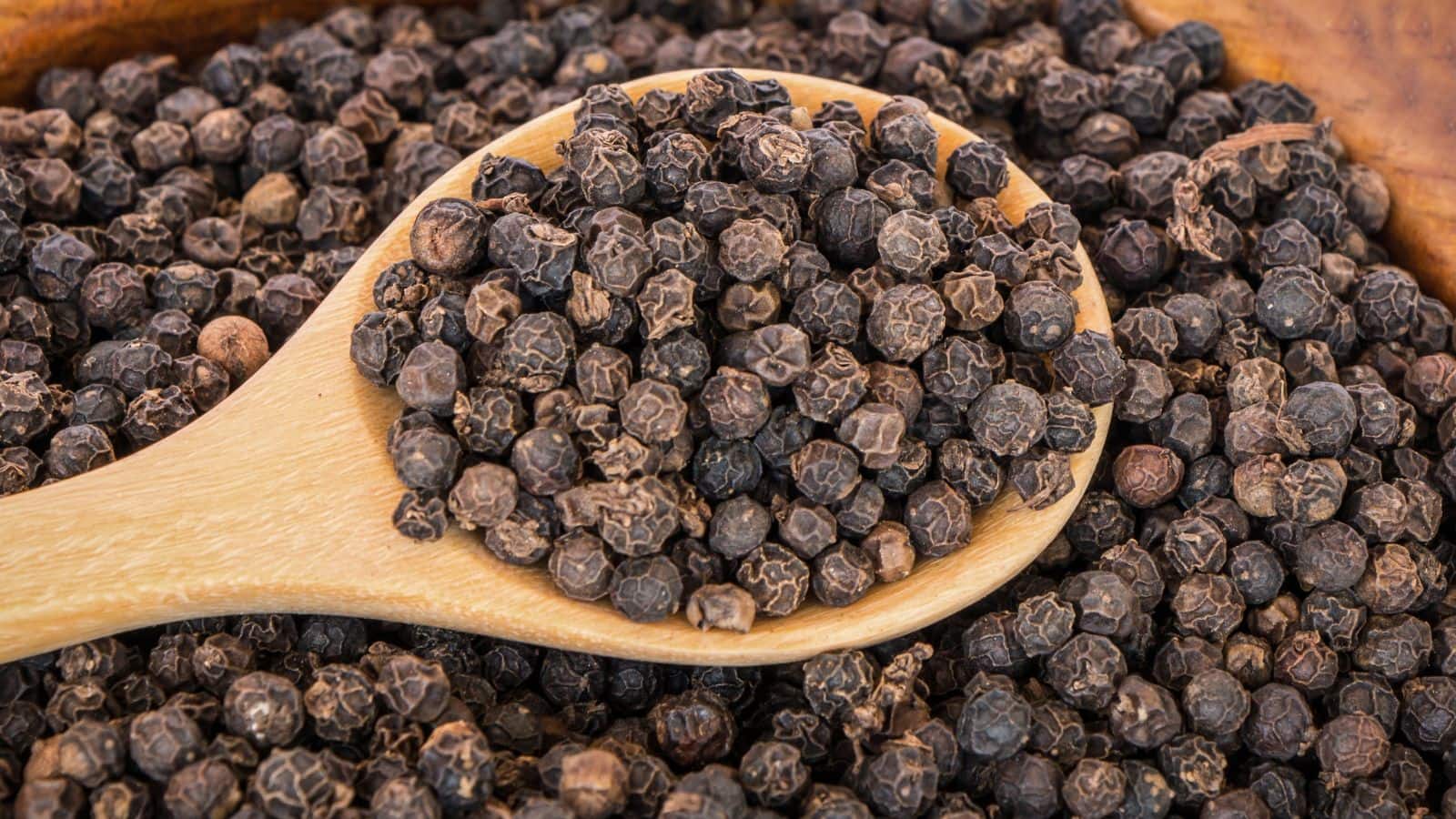 Black Pepper: वजन घटाने में रामबाण है ये काली चीज, जानें सेवन का सही तरीका