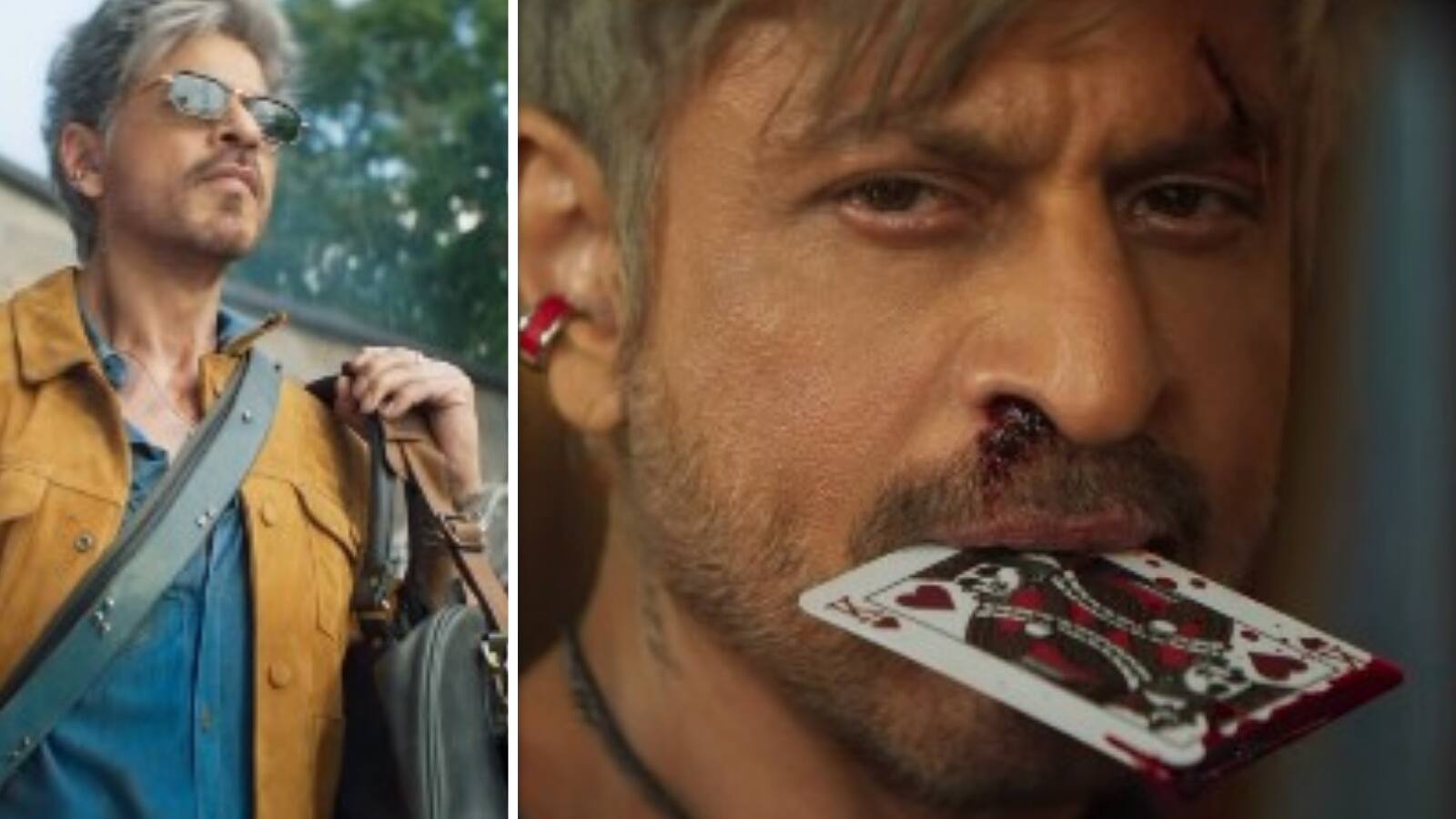 King Movie Title Reveal: सौ देशों में बदनाम...दुनिया ने दिया सिर्फ एक नाम, आ गया धमाल मचाने 'किंग' King Movie Title Reveal: सौ देशों में बदनाम...दुनिया ने दिया सिर्फ एक नाम, आ गया धमाल मचाने 'किंग'