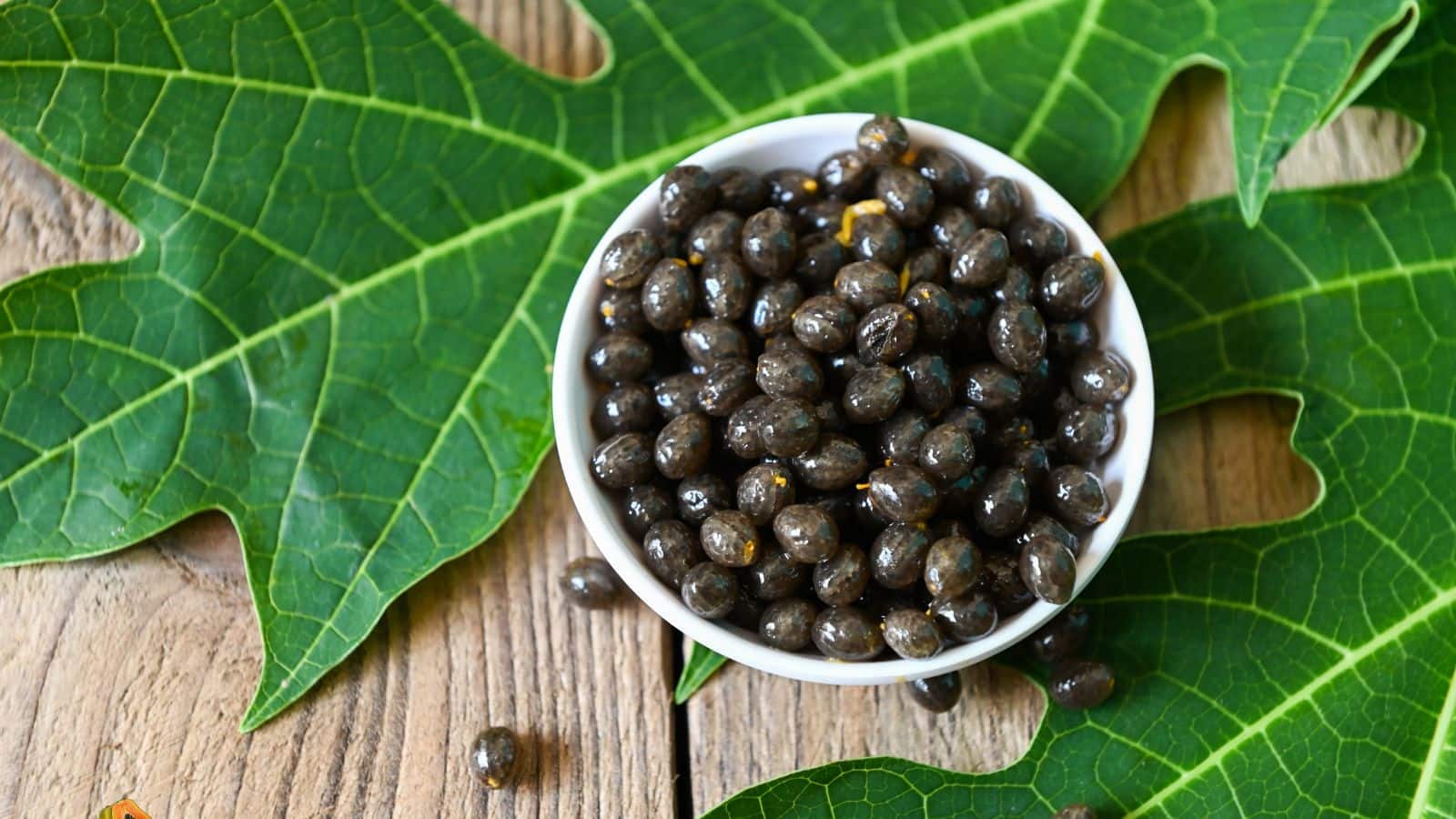 Weight Loss Tips: खाली पेट खाएं पपीते के ये बीज, पेट की चर्बी होगी तेजी से कम!