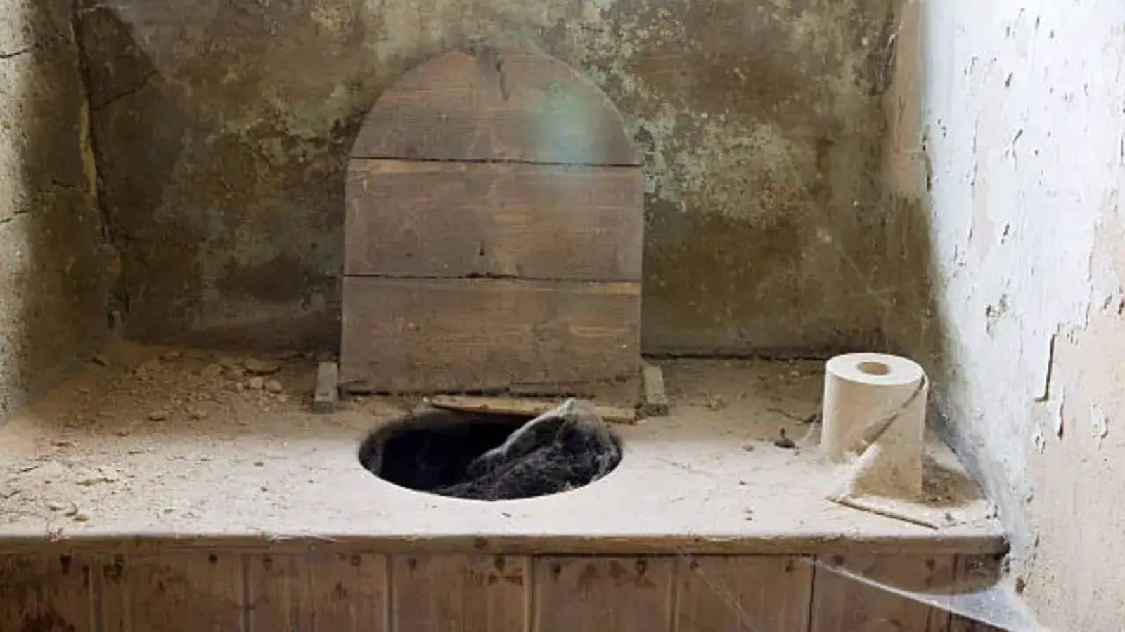 4000 साल पहले भी लोग इस्तेमाल करते थे टॉयलेट! जानें इतिहास की ये अनोखी कहानी