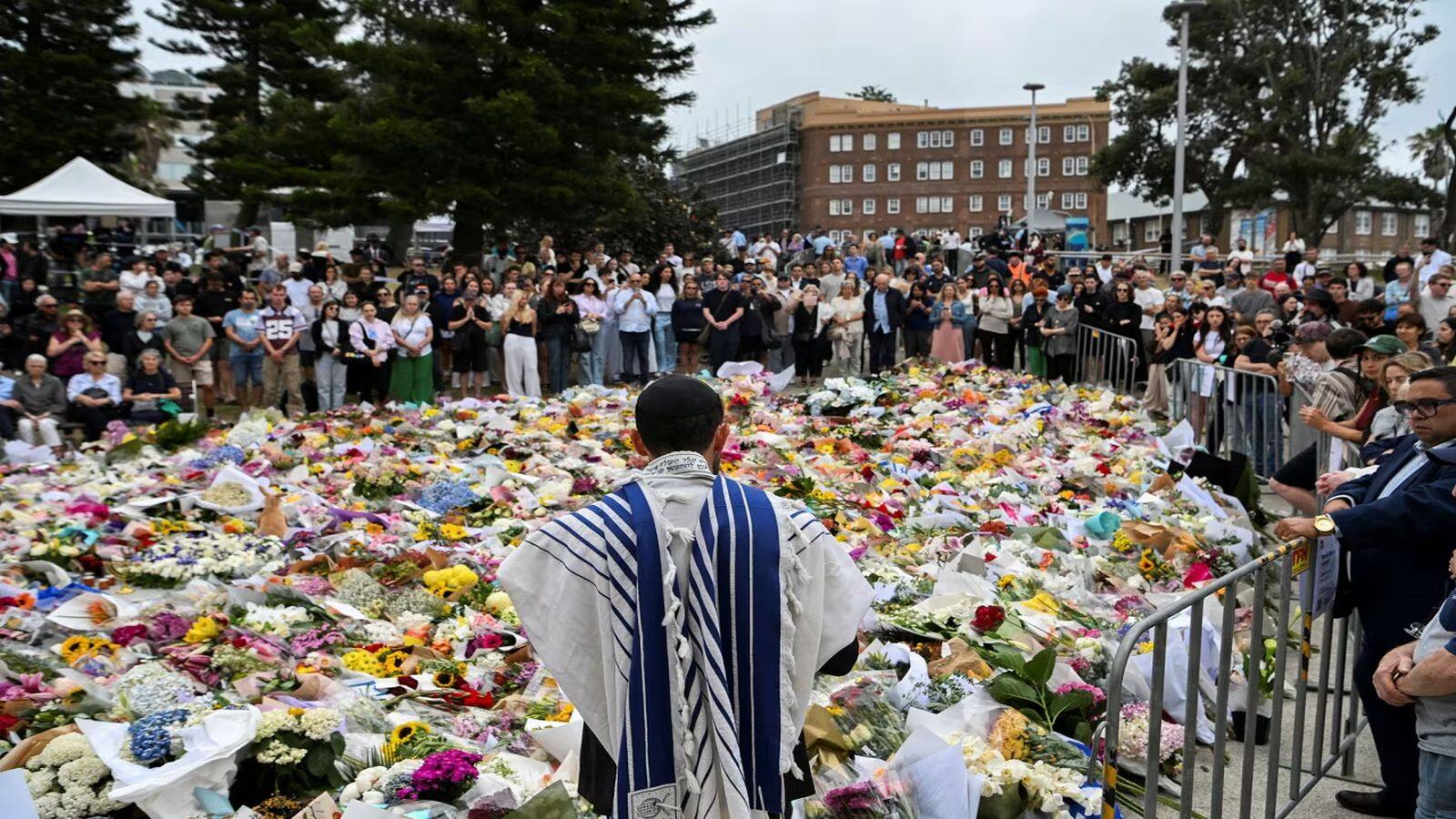 Bondi Beach Shooting: ऑस्ट्रेलिया के बॉन्डी बीच पर हुई गोलीबारी में 3 भारतीय छात्र भी घायल, आतंकी साजिद अकरम का क्या है भारत कनेक्शन? Bondi Beach Shooting: ऑस्ट्रेलिया के बॉन्डी बीच पर हुई गोलीबारी में 3 भारतीय छात्र भी घायल, आतंकी साजिद अकरम का क्या है भारत कनेक्शन?