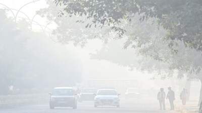 शनिवार को दिल्ली-एनसीआर के वायु प्रदूषण की समीक्षा के लिए आयोजित एक उच्च स्तरीय बैठक में भूपेंद्र यादव ने राज्यों के एक्शन प्लान की समीक्षा की