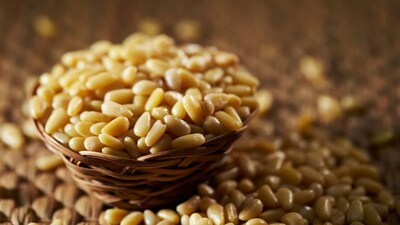 Chilgoza benefits: दिन में लगभग 15–20 ग्राम यानी एक छोटी मुट्ठी चिलगोजा पर्याप्त है।