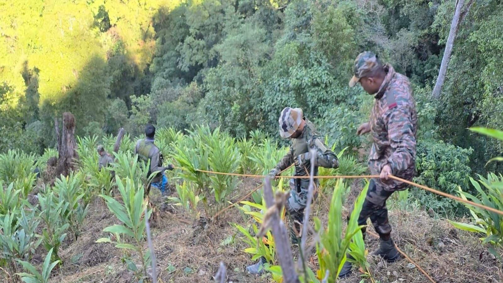 Arunachal Pradesh Accident: अरुणाचल प्रदेश में भयंकर सड़क हादसा! गहरी खाई में गिरा ट्रक, 18 मजदूरों की मौत Arunachal Pradesh Accident: अरुणाचल प्रदेश में भयंकर सड़क हादसा! गहरी खाई में गिरा ट्रक, 18 मजदूरों की मौत