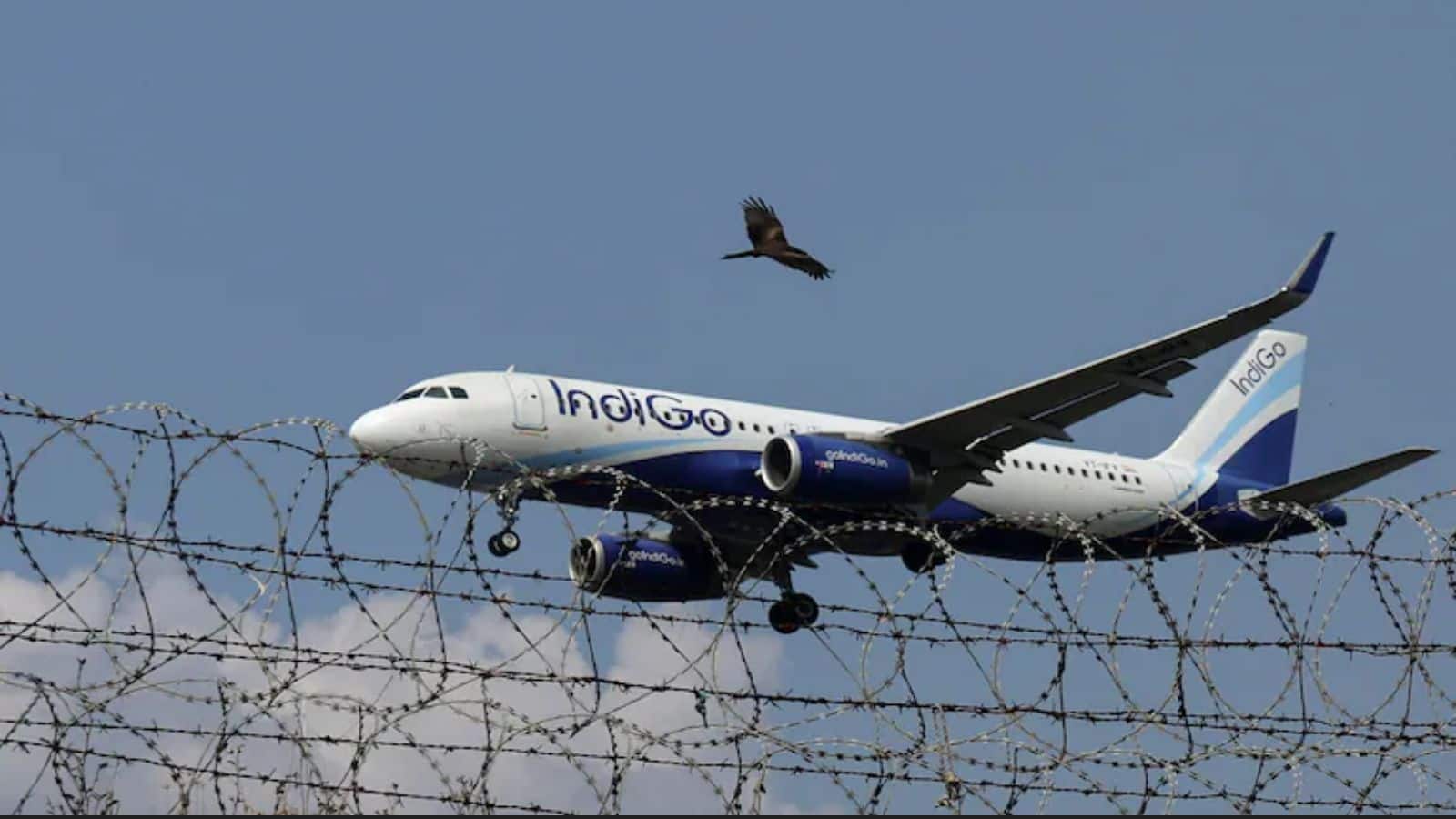 IndiGo Flight News: इंडिगो की उड़ानों का रद्द होने का सिलसिला जारी, बेंगलुरु से आज 60 फ्लाइट्स कैंसिल; DGCA ने CEO पीटर एल्बर्स को किया तलब IndiGo Flight News: इंडिगो की उड़ानों का रद्द होने का सिलसिला जारी, बेंगलुरु से आज 60 फ्लाइट्स कैंसिल; DGCA ने CEO पीटर एल्बर्स को किया तलब
