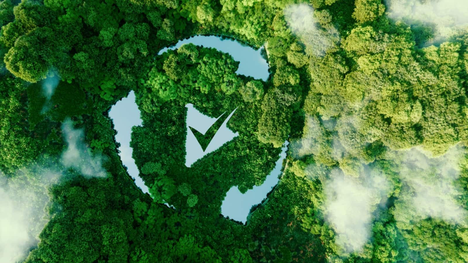 Neochem Bio IPO Listing: ₹108 पर लिस्ट हुआ ₹98 का शेयर, लगातार मजबूत हो रही कंपनी की सेहत