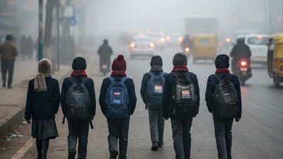 नोएडा एक्सप्रेसवे पर घने कोहरे के कारण वाहनों की आपस में टक्कर, हादसे में कई लोग घायल
