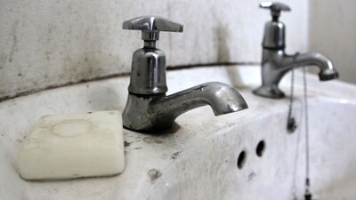 Tap cleaning hacks: नींबू का साइट्रिक एसिड और नमक का खुरदरापन मिलकर दागों को हटाने में मदद करता है।