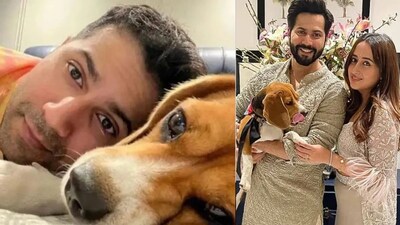 Varun Dhawan: वरुण के इस दुख में कई बॉलीवुड सितारे उनके साथ खड़े नजर आए।