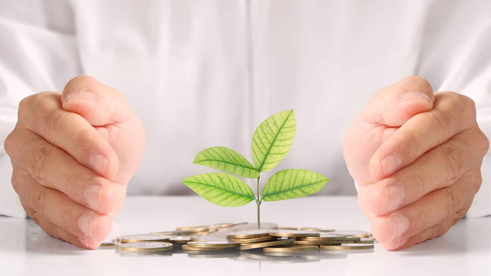 FD vs Bonds: रेपो रेट घटने के बाद बैंक एफडी पर घटा रहे इंटरेस्ट, क्या पैसा एफडी से निकालकर बॉन्ड्स में लगाना चाहिए? FD vs Bonds: रेपो रेट घटने के बाद बैंक एफडी पर घटा रहे इंटरेस्ट, क्या पैसा एफडी से निकालकर बॉन्ड्स में लगाना चाहिए?