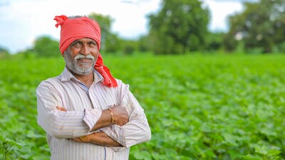 Farming Tips: जो किसान 10 साल की योजना चाहते हैं, वो आम का बाग लगा सकते हैं।