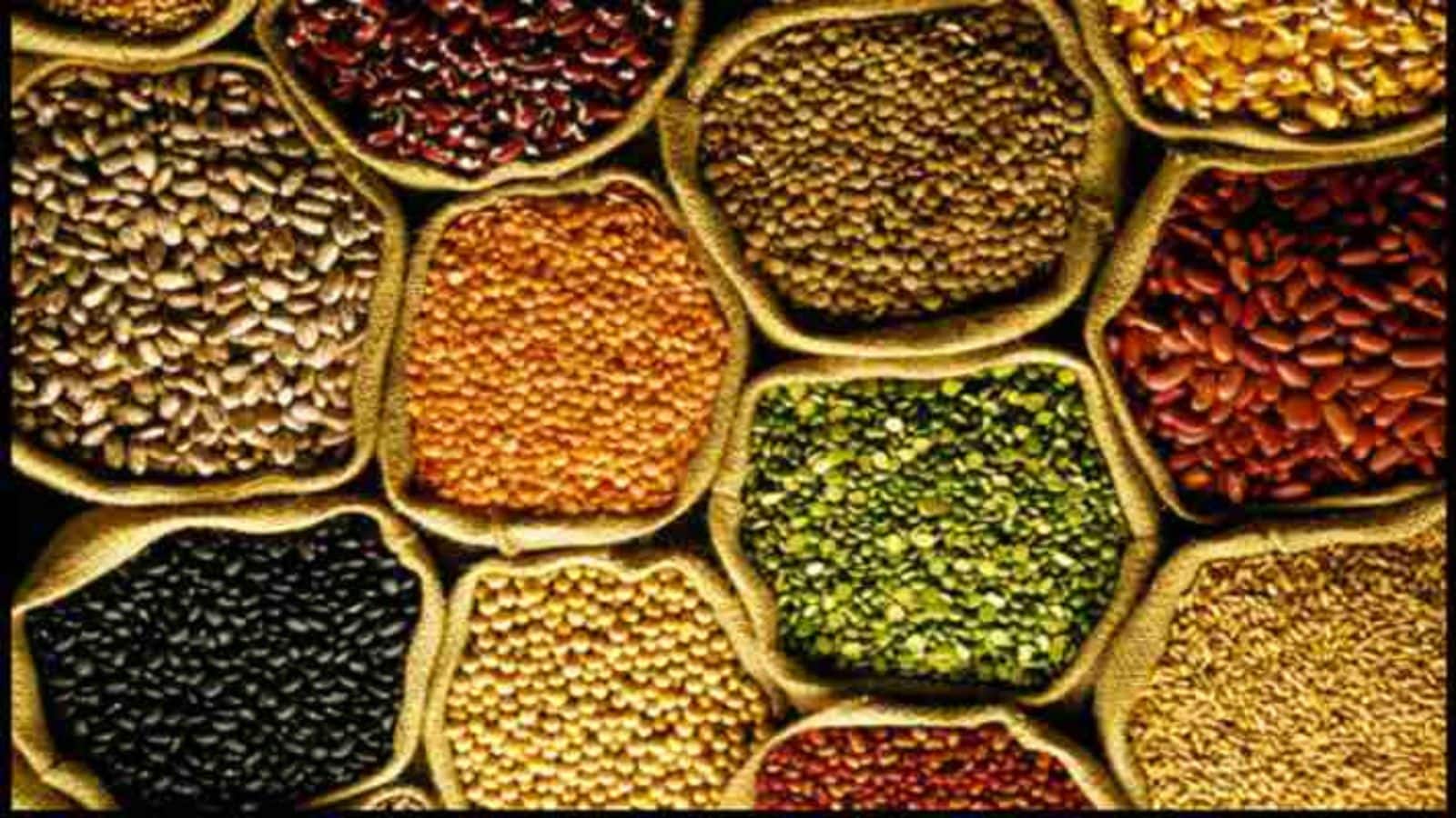 किसानों के लिए बड़ा तोहफा, 50% सब्सिडी पर उपलब्ध हैं ये फसल बीज, तुरंत करें आवेदन