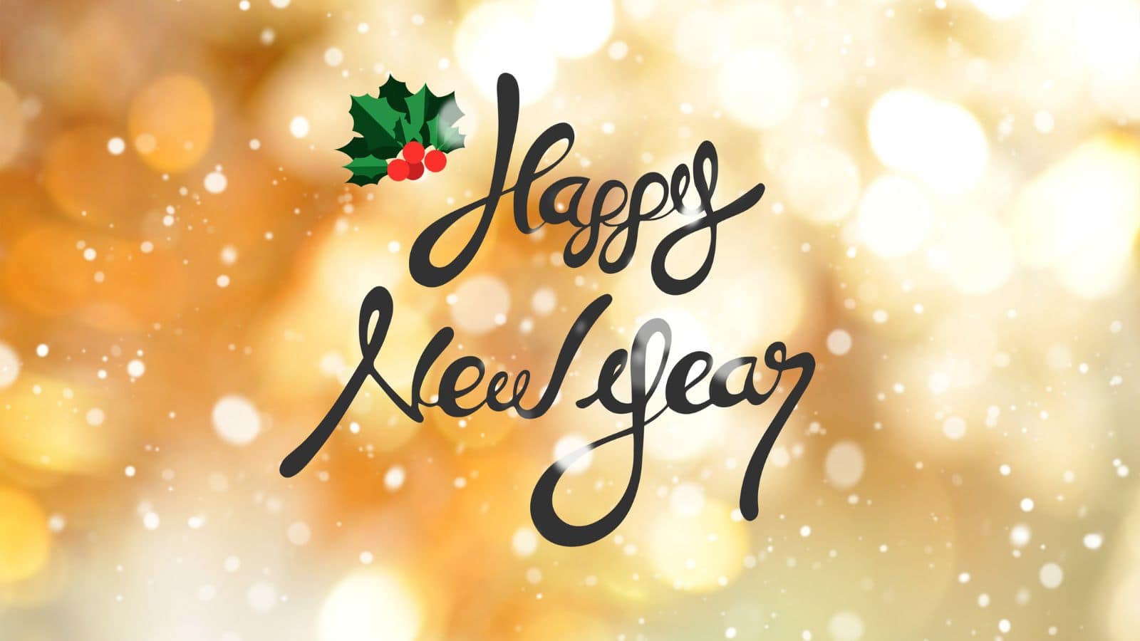 new year 2026 (3)