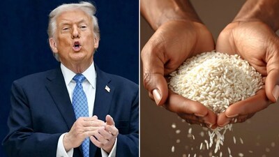 Rice Stocks: अमेरिका अभी भारतीय चावल के इंपोर्ट पर 50% ड्यूटी लगाता है