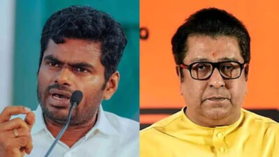 BJP नेता अन्नामलाई ने राज ठाकरे पर 'रसमलाई' वाले कटाक्ष को लेकर किया पलटवार
