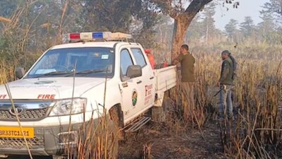 बिहार के वाल्मीकि टाइगर रिजर्व में पेड़ पर लटके मिले दो कंकाल
