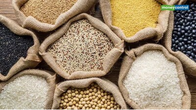भारत दुनिया में दालों का सबसे बड़ा उपभोक्ता है, लेकिन पीली मटर और अन्य फसलों पर भारी टैक्स के कारण अमेरिकी उत्पादक भारतीय बाजार में पिछड़ रहे हैं