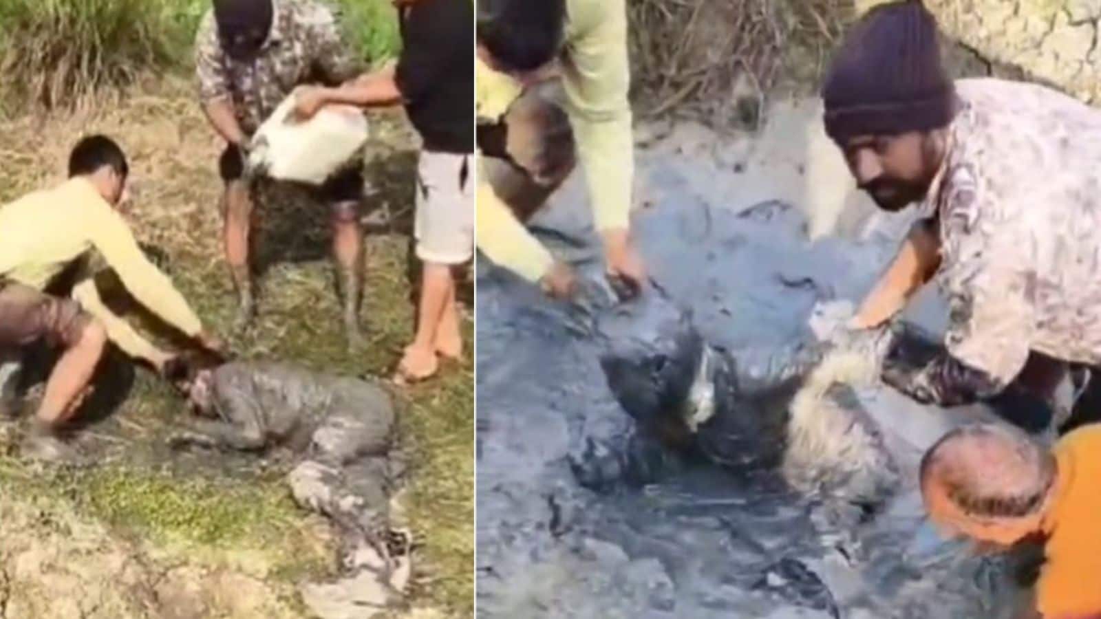 न स्ट्रीटलाइट, दलदल जैसी कीचड़! नोएडा, दिल्ली के बाद कानपुर में भी गड्ढे में गिरा बाइक सवार, 12 घंटे तक ठंड से कांपने बाद तोडा दम