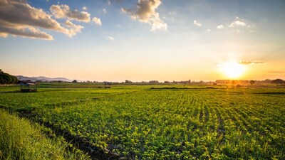 Women farmer success story: आलू और हरी सब्जियों की खेती से उन्हें सालभर नियमित आय मिलती है।

