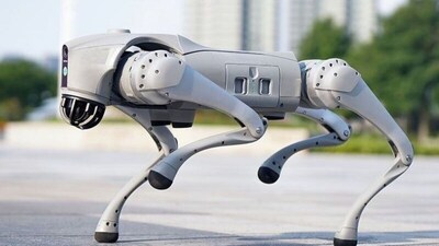 Robodog: मेटल का कुत्ता, जो न भौंकता न काटता, लेकिन बड़े काम का, क्या है ये बला?