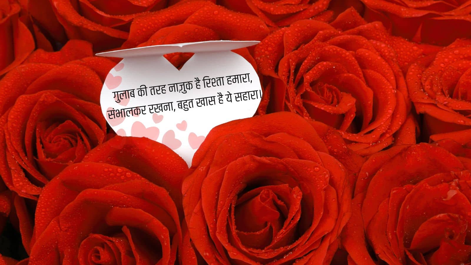 Rose Day (2)