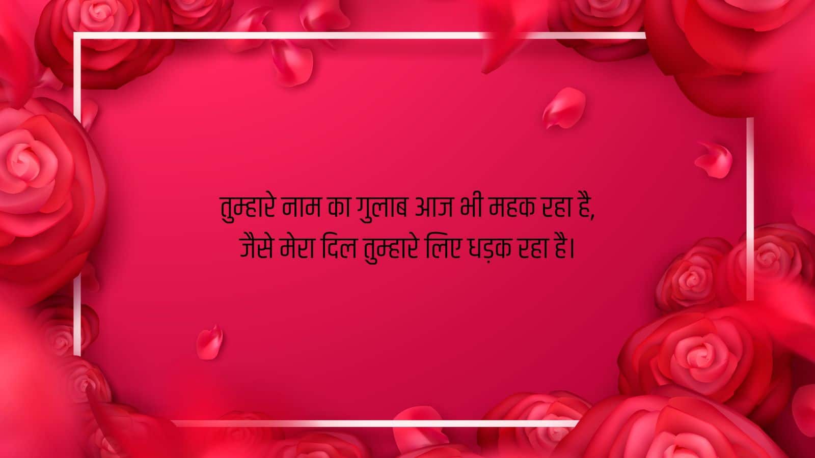 Rose Day (3)