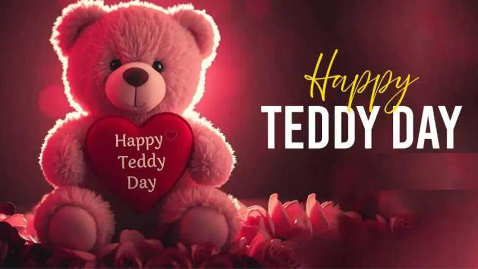 Teddy day (3)