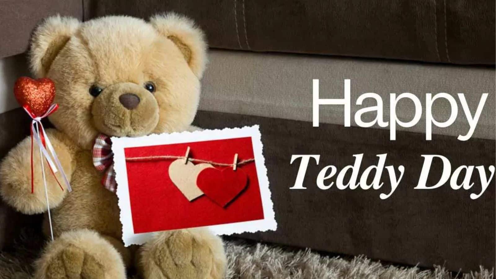 Teddy day (4)