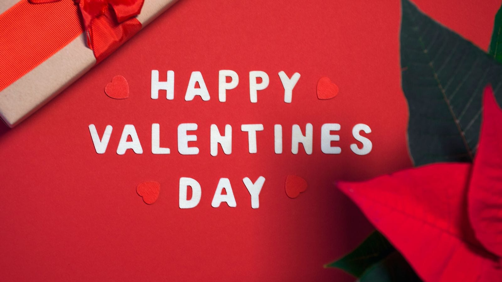 Valentine day (6)