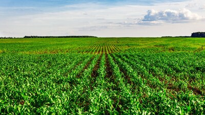 Vegetable farming in summer: योजना के तहत किसानों को उच्च गुणवत्ता वाले संकर बीज बिल्कुल मुफ्त दिए जा रहे हैं। 