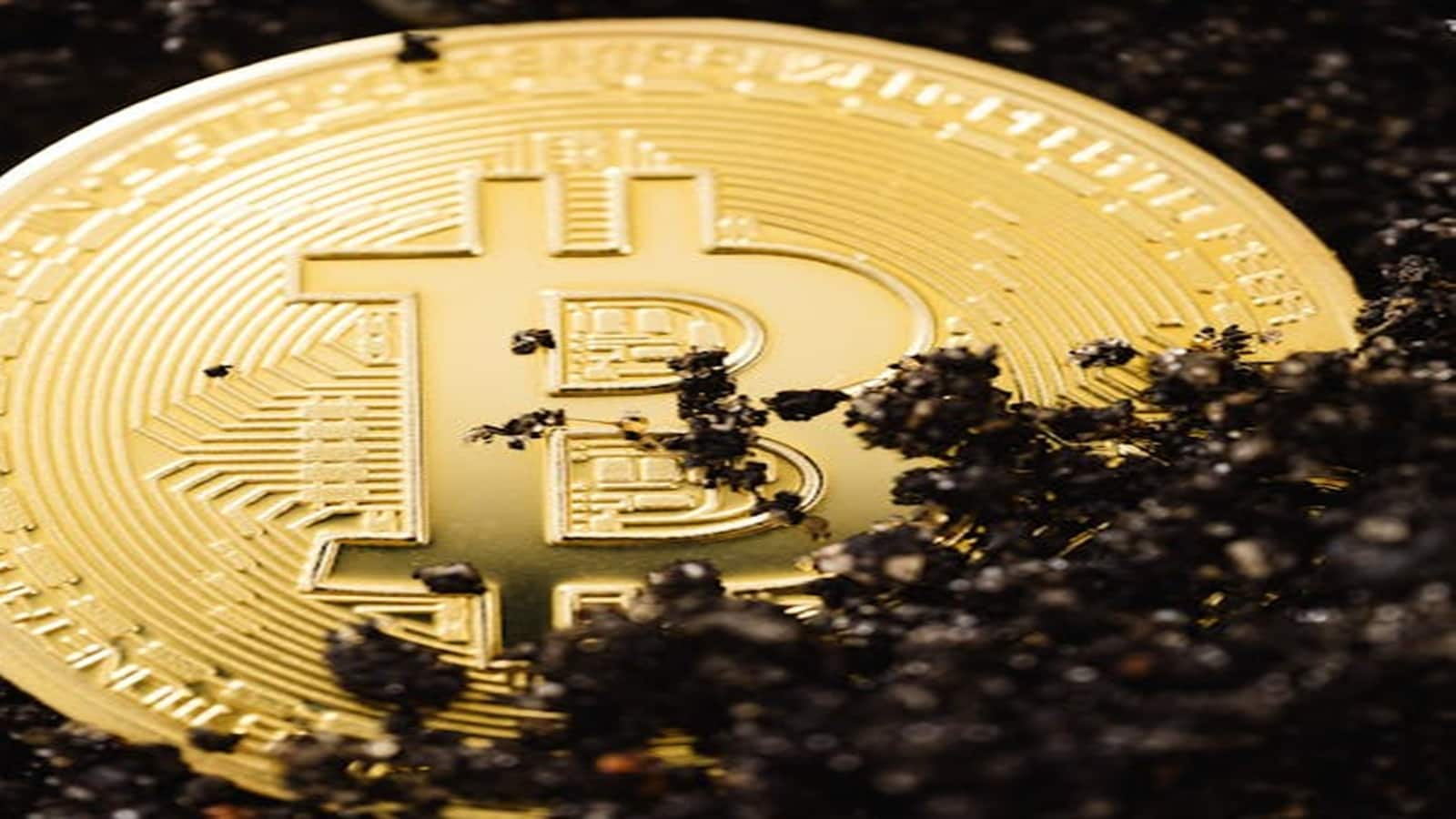 BitCoin जैसे क्रिप्टो एसेट्स में चुनावी चंदा होगा बंद! यूके के बाद अब कनाडा सरकार ने भी शुरू की तैयारी