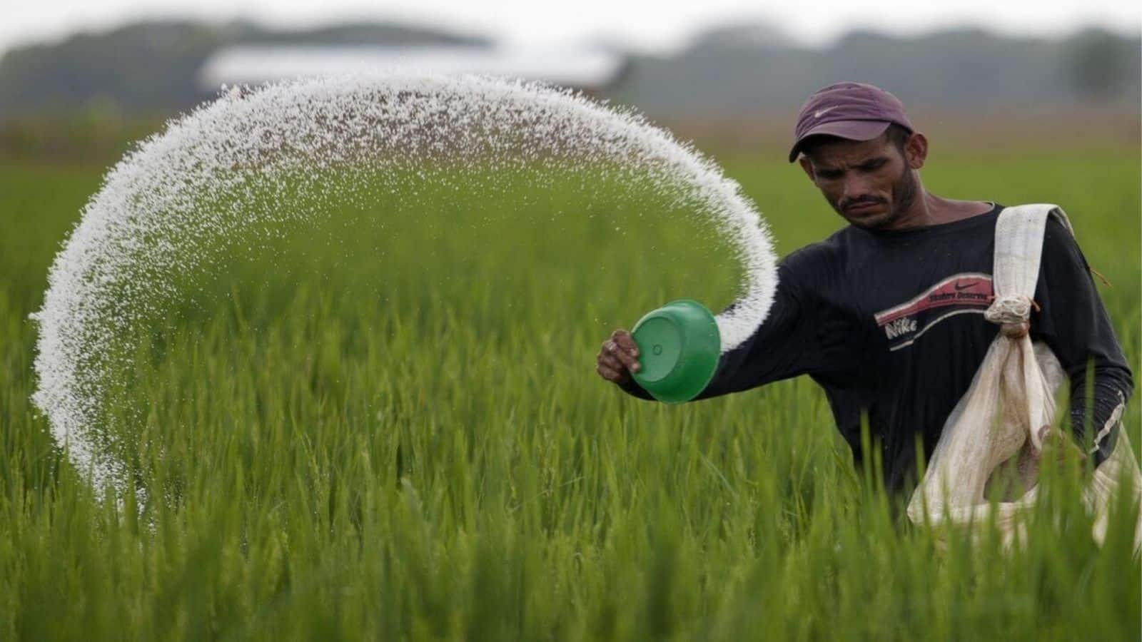 Fertiliser Stocks: फर्टिलाइजर शेयरों में 17% तक की तूफानी तेजी, सरकार के एक आदेश से खरीदारी की मची लूट