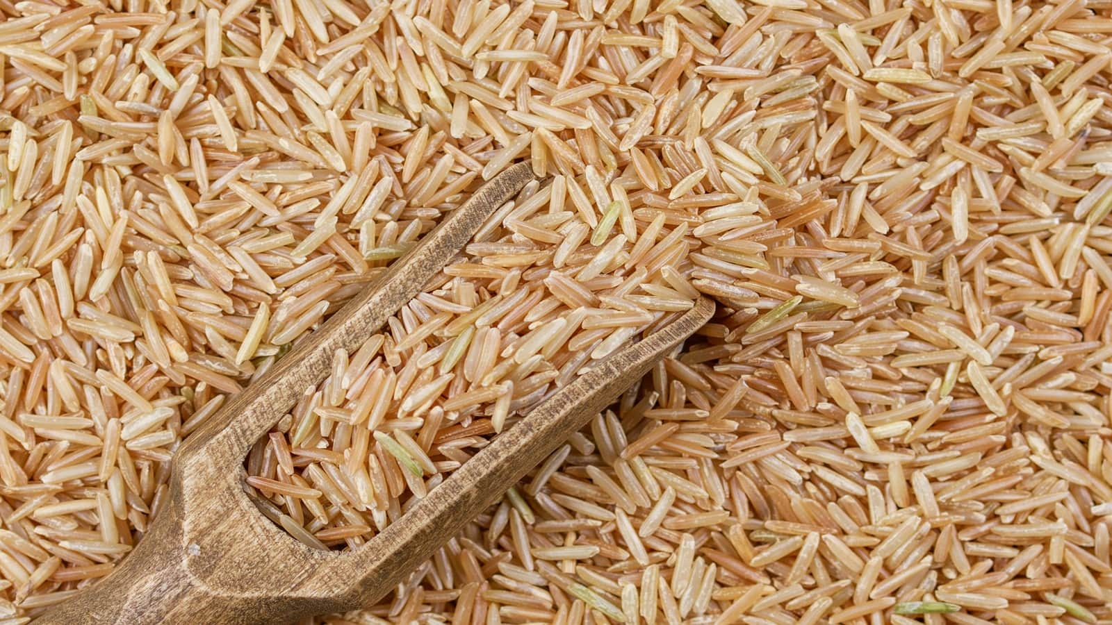 US-Iran War में झुलसी KRBL-LT Foods जैसी चावल कंपनियां, 8% तक टूट गए शेयर