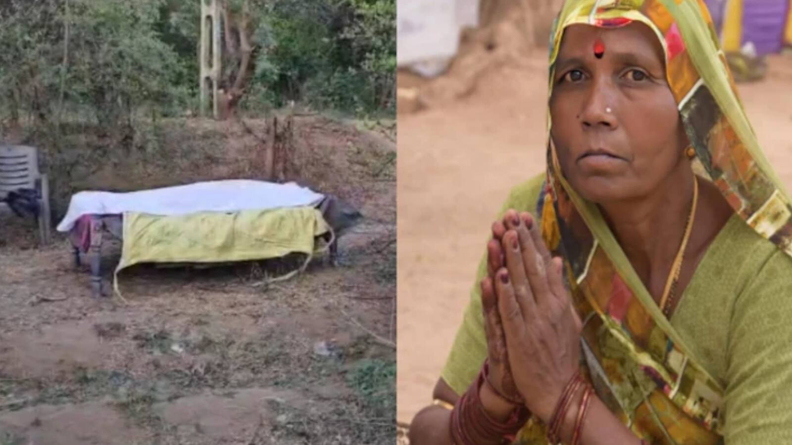 Gujarat Murder: चारा लेने गई महिला की मनचलों ने की हत्या, फिर नींबू के बाग में दफनाया शव, 4.40 लाख के गहने लूटे