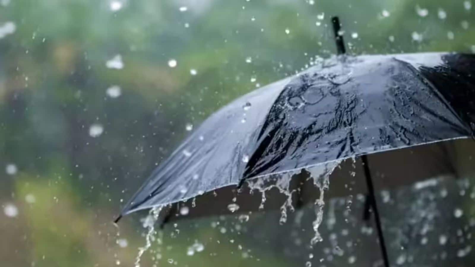 10 साल में सबसे कम बारिश की आशंका, इस बार मानसून दे सकता है बड़ा झटका! IMD ने घटाया अपना अनुमान 10 साल में सबसे कम बारिश की आशंका, इस बार मानसून दे सकता है बड़ा झटका! IMD ने घटाया अपना अनुमान