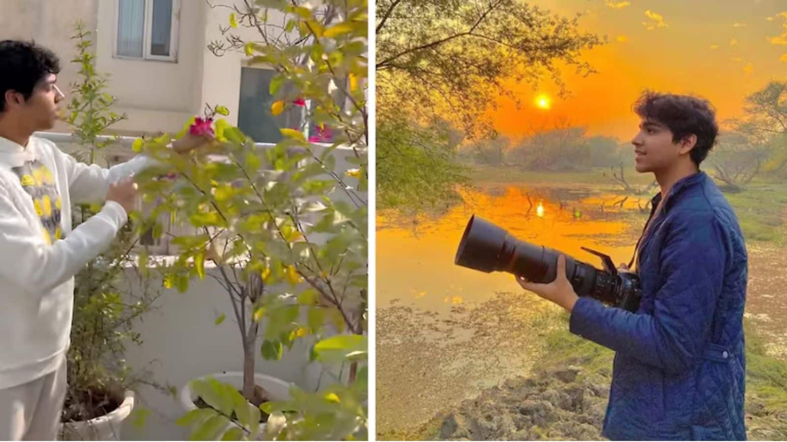 500 पौधे, 100 तरह के पक्षी: 23 साल के अमन शर्मा ने कैसे एक बंजर छत को बन डाला शहरी जंगल? 500 पौधे, 100 तरह के पक्षी: 23 साल के अमन शर्मा ने कैसे एक बंजर छत को बन डाला शहरी जंगल?