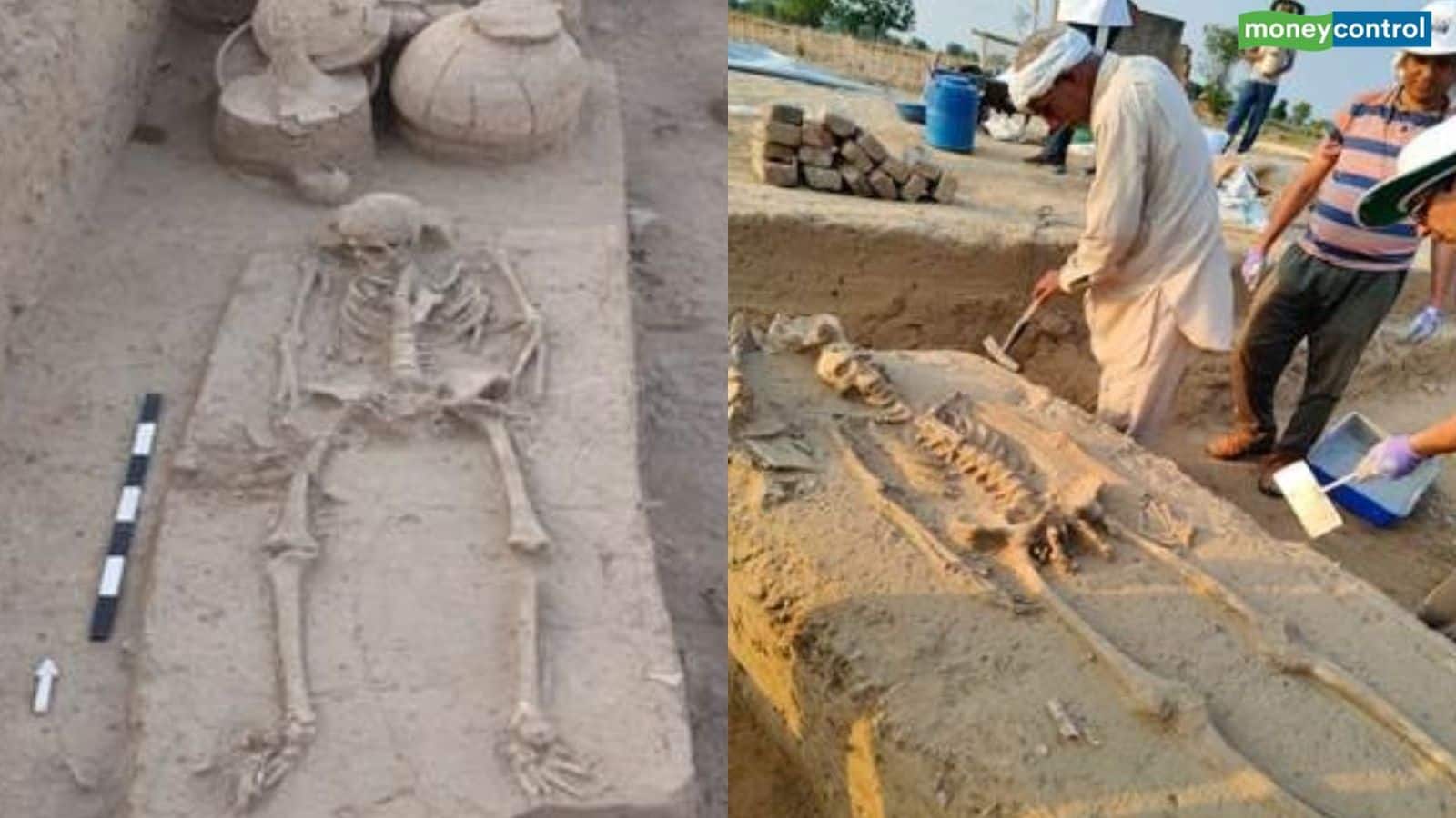 Rakhigarhi Human Skeletal Remains: 3 पूरे कंकाल और कब्रों से मिले कुछ इंसानी कंकाल के टुकड़े! राखीगढ़ी के इस रहस्य की पड़ताल अब AnSI करेगी Rakhigarhi Human Skeletal Remains: 3 पूरे कंकाल और कब्रों से मिले कुछ इंसानी कंकाल के टुकड़े! राखीगढ़ी के इस रहस्य की पड़ताल अब AnSI करेगी