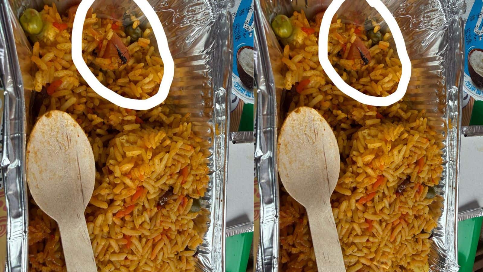 Viral Video: तेजस एक्सप्रेस में खाना या लापरवाही? पैकेट खोलते ही दिखा कीड़ा, यात्री ने उठाए गंभीर सवाल Viral Video: तेजस एक्सप्रेस में खाना या लापरवाही? पैकेट खोलते ही दिखा कीड़ा, यात्री ने उठाए गंभीर सवाल