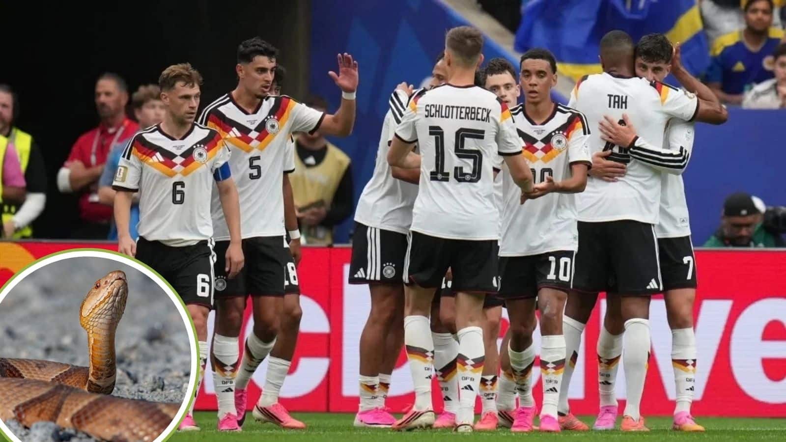 World Cup 2026: खेल के बीच खौफ! जर्मनी के खिलाड़ियों के बीच पहुंचा जहरीला सांप, तुरंत बढ़ी सिक्योरिटी World Cup 2026: खेल के बीच खौफ! जर्मनी के खिलाड़ियों के बीच पहुंचा जहरीला सांप, तुरंत बढ़ी सिक्योरिटी