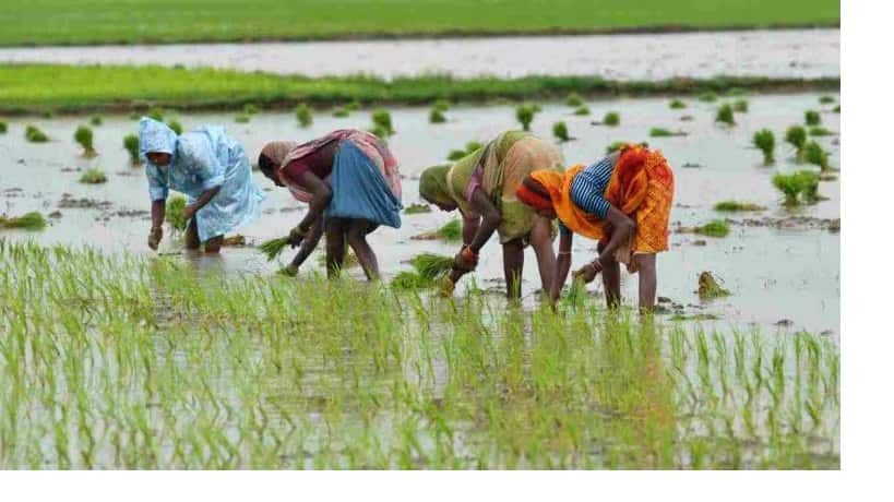 मानसून में बारिश कम हुई तो क्या RBI इंटरेस्ट रेट बढ़ाएगा? मॉनेटरी पॉलिसी पर नोमुरा और एचएसबीसी में मतभेद मानसून में बारिश कम हुई तो क्या RBI इंटरेस्ट रेट बढ़ाएगा? मॉनेटरी पॉलिसी पर नोमुरा और एचएसबीसी में मतभेद