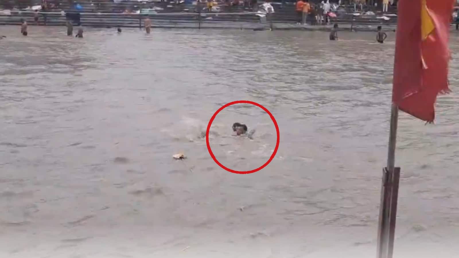 Video: हरिद्वार में गंगा में डूबने लगा कांवड़िया फिर SDRF जवान ने हैरतअंगेज रेस्क्यू किया और मौत के मुंह से खींच लाया उसे Video: हरिद्वार में गंगा में डूबने लगा कांवड़िया फिर SDRF जवान ने हैरतअंगेज रेस्क्यू किया और मौत के मुंह से खींच लाया उसे