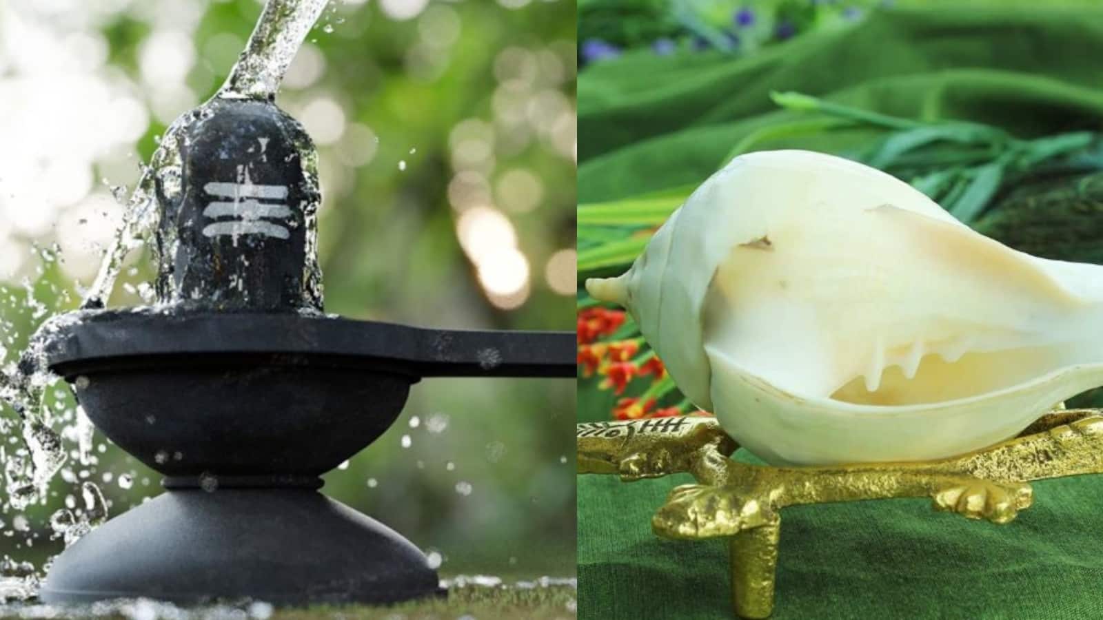 Monday Remedies: इसलिए शंख शिव पूजा में है निषेध, जलाभिषेक करने से महादेव हो जाते हैं नाराज Monday Remedies: इसलिए शंख शिव पूजा में है निषेध, जलाभिषेक करने से महादेव हो जाते हैं नाराज