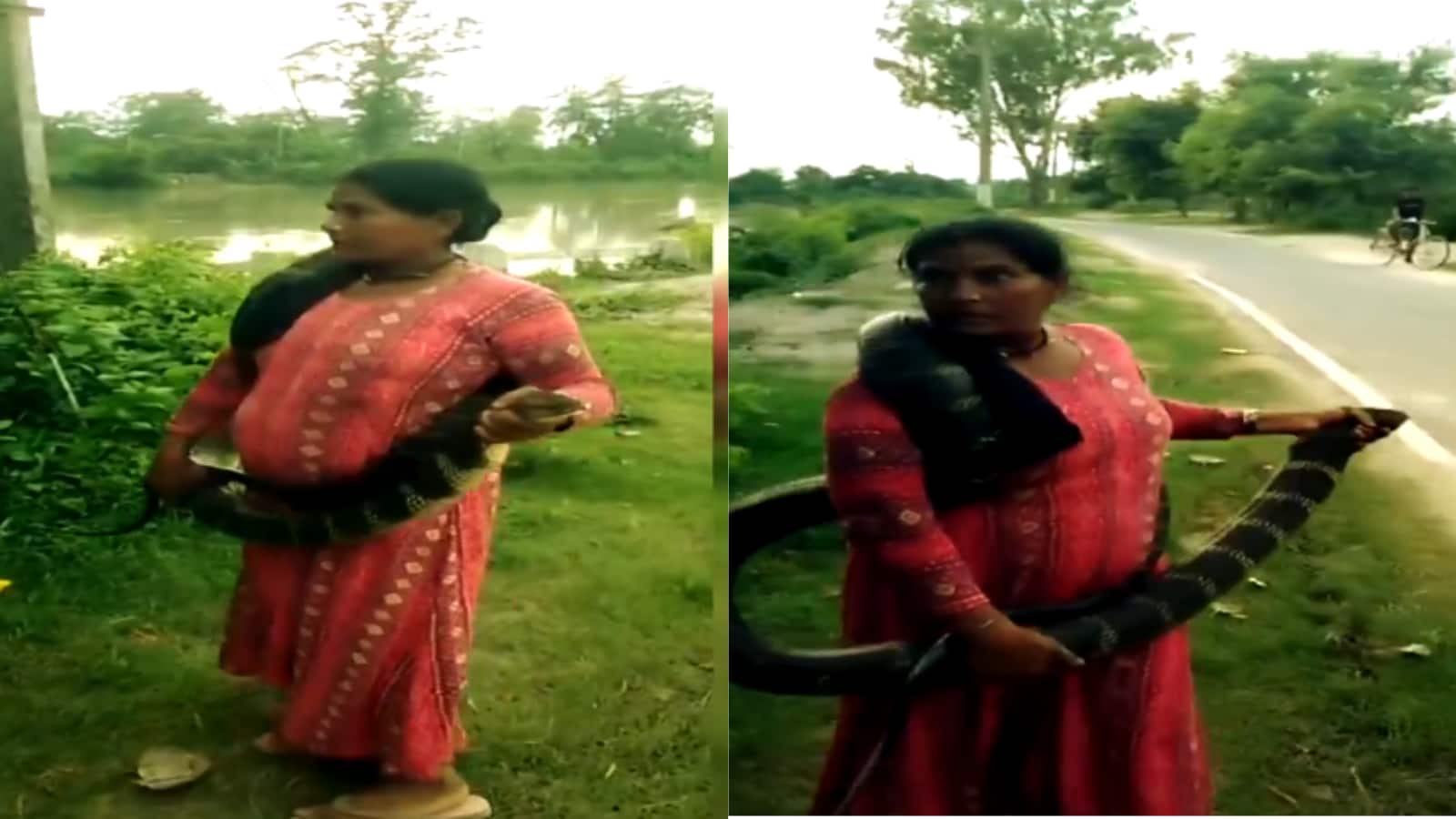 Video: 10 फीट लंबे कोबरा को आराम से गले में डाल बिहार में घूम रही इस महिला ने सबको हैरत में डाला! कौन है ये? Video: 10 फीट लंबे कोबरा को आराम से गले में डाल बिहार में घूम रही इस महिला ने सबको हैरत में डाला! कौन है ये?