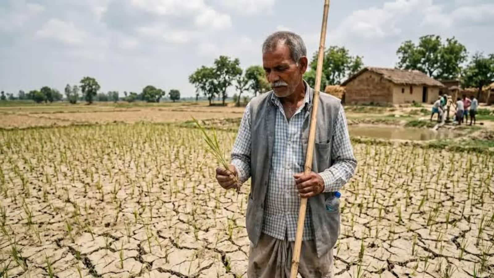 El Nino Impact: 2 दशकों में सबसे कमजोर मानसून का खतरा! अल नीनो ने बढ़ाई चिंता, जानिए अर्थव्यवस्था पर क्या होगा असर El Nino Impact: 2 दशकों में सबसे कमजोर मानसून का खतरा! अल नीनो ने बढ़ाई चिंता, जानिए अर्थव्यवस्था पर क्या होगा असर