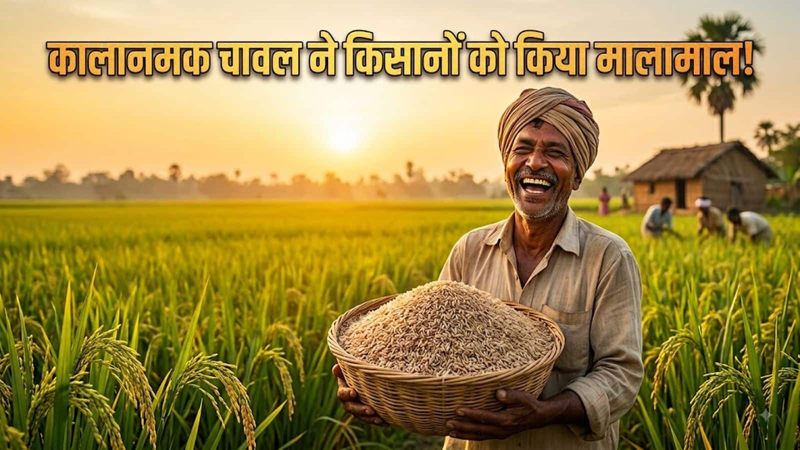 Kalanamak Rice: ₹40 से ₹150 पहुंचा कालानमक चावल का भाव! 5 गुना बढ़ा उत्पादन, 'बुद्ध राइस' ने किसानों की बल्ले-बल्ले कर दी Kalanamak Rice: ₹40 से ₹150 पहुंचा कालानमक चावल का भाव! 5 गुना बढ़ा उत्पादन, 'बुद्ध राइस' ने किसानों की बल्ले-बल्ले कर दी