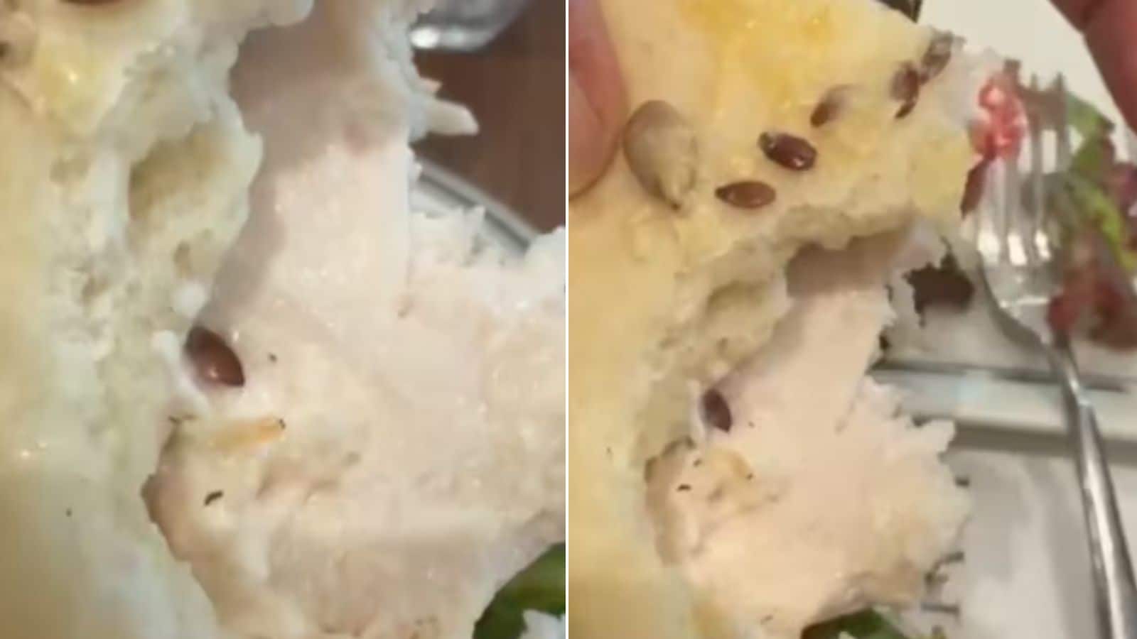 Video: गुरुग्राम के मशहूर कैफे के सीजर सलाद में मिला जिंदा कीड़ा! वीडियो सामने आने के बाद मांगी माफी Video: गुरुग्राम के मशहूर कैफे के सीजर सलाद में मिला जिंदा कीड़ा! वीडियो सामने आने के बाद मांगी माफी