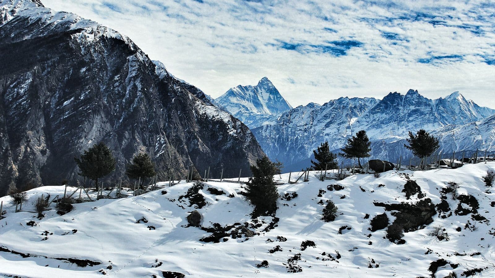 auli3 image